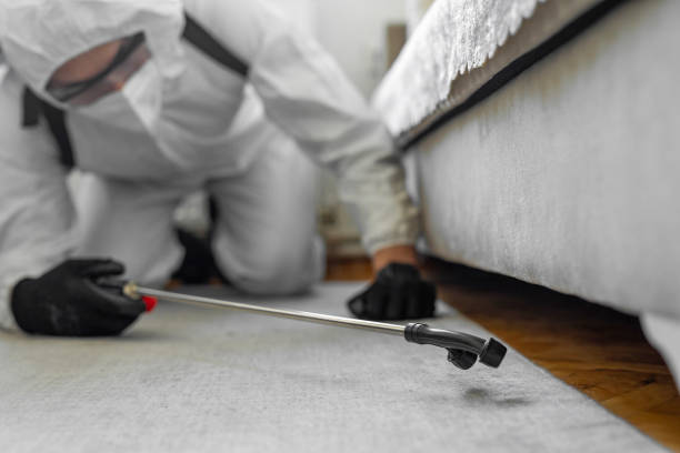 Professional Pest Control technician working in Valley Park, MO