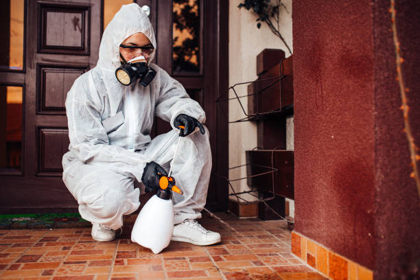 Reliable Rodent Control contractor in Valley Park, MO by Nex Pest Control