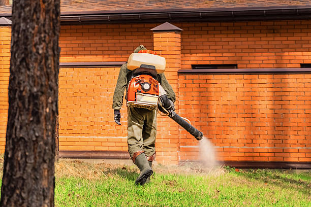 Trusted Mosquito Control service in Valley Park, MO - Nex Pest Control